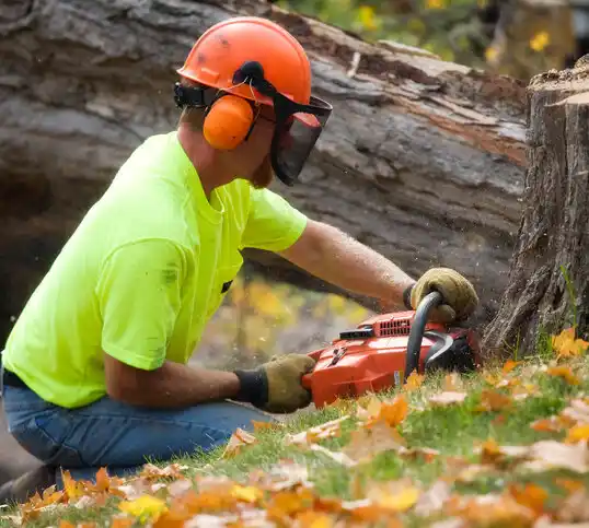 tree services Montgomery